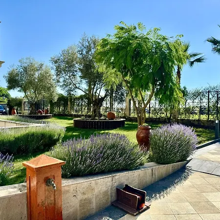 Teos 4* 普里莫尔斯科